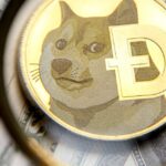 Dogecoin Is Flying After an Elon Musk Tweet. More Gains May Come Before a Crash.