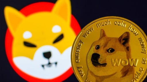 Shiba Inu & DOGE Stage Price Comeback