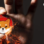 Shiba Inu (SHIB) Burning Extremely Different Since December: Details