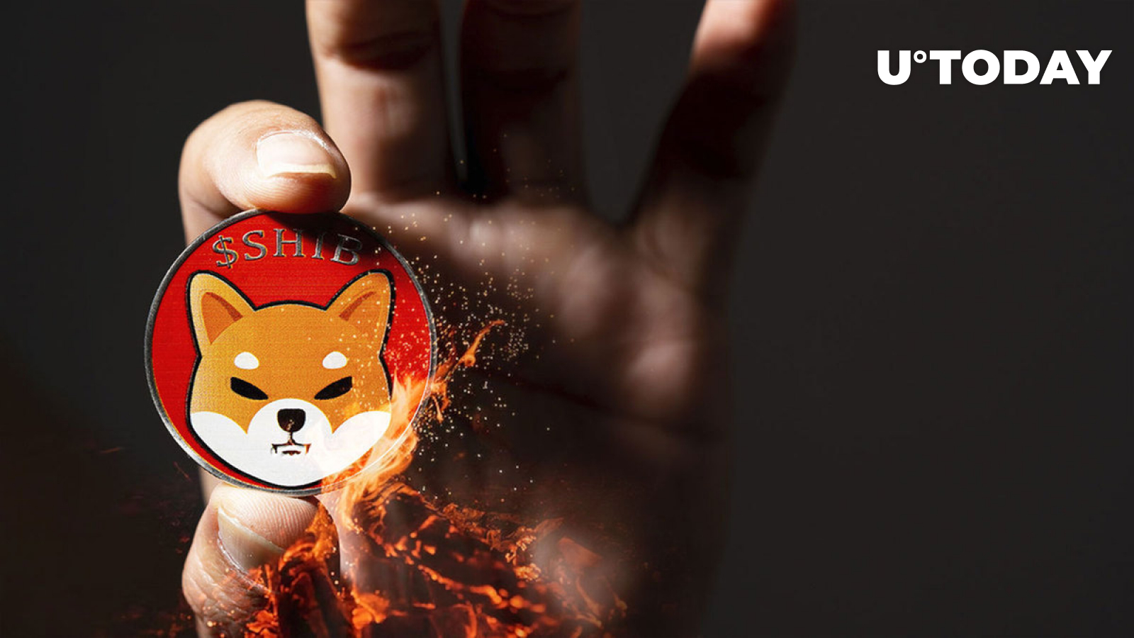 Shiba Inu (SHIB) Burning Extremely Different Since December: Details