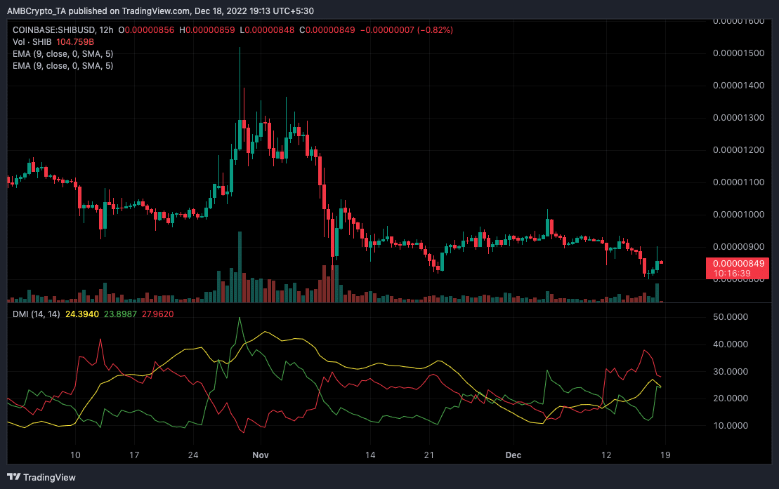 Shiba Inu Tokens Record Double-Digit Increases; What could it mean for SHIB?