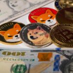 Shiba Inu (SHIB) is the 3rd most-watched cryptocurrency in 2022