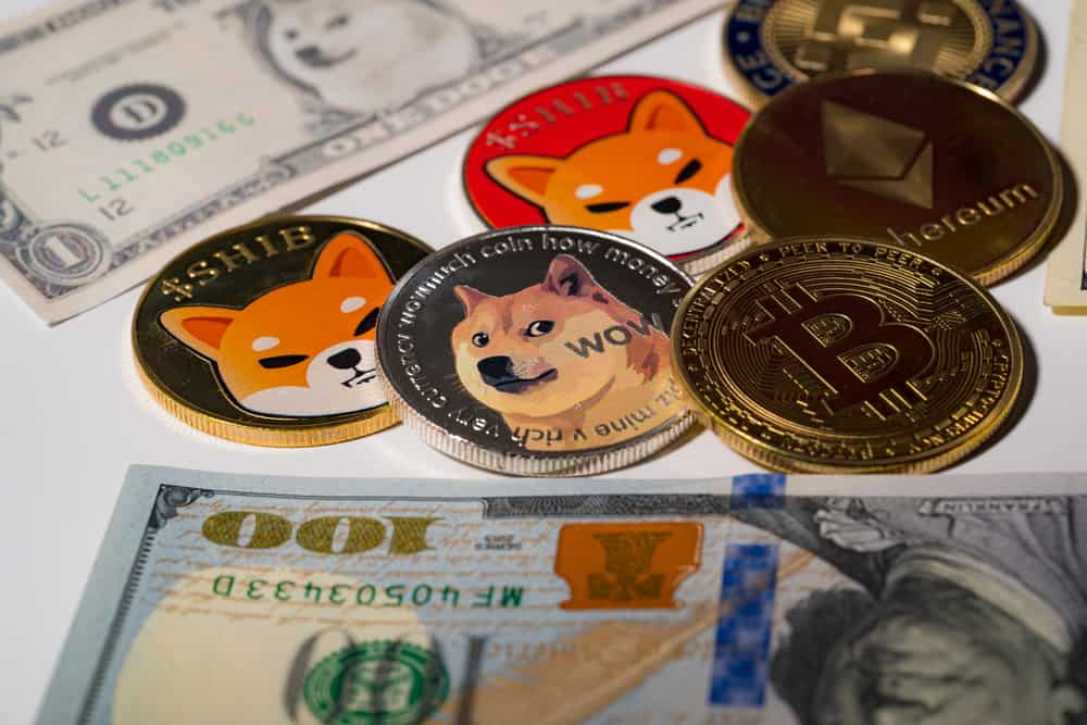 Shiba Inu (SHIB) is the 3rd most-watched cryptocurrency in 2022