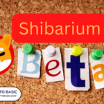 Shiba Inu Lead Developer Warns Not Buy Anything on Shibarium Until Mainnet Launch