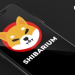 Shibarium Beta? Lead Shiba Inu (SHIB) Dev Hints He About to Finish Current Task: Details