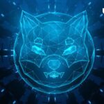 Shiba Inu (SHIB) Executive Leaves New Cryptic Shibarium Message