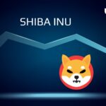 Shiba Inu Burn Rate Spikes 1,364% as Following Happened to SHIB