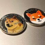 Morgan Creek Capital Management CEO Mark Yusko on Dogecoin ($DOGE) and Shiba Inu ($SHIB)