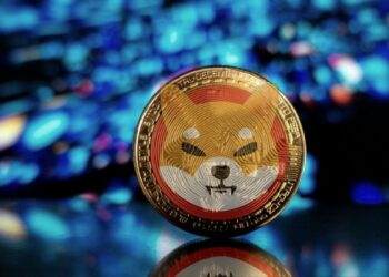 Shiba Inu Burn Rate Plummets, Are Traders Losing Interest In SHIB?