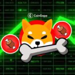 Shiba Inu’s BONE Price Spikes Suddenly; Here’s Why?