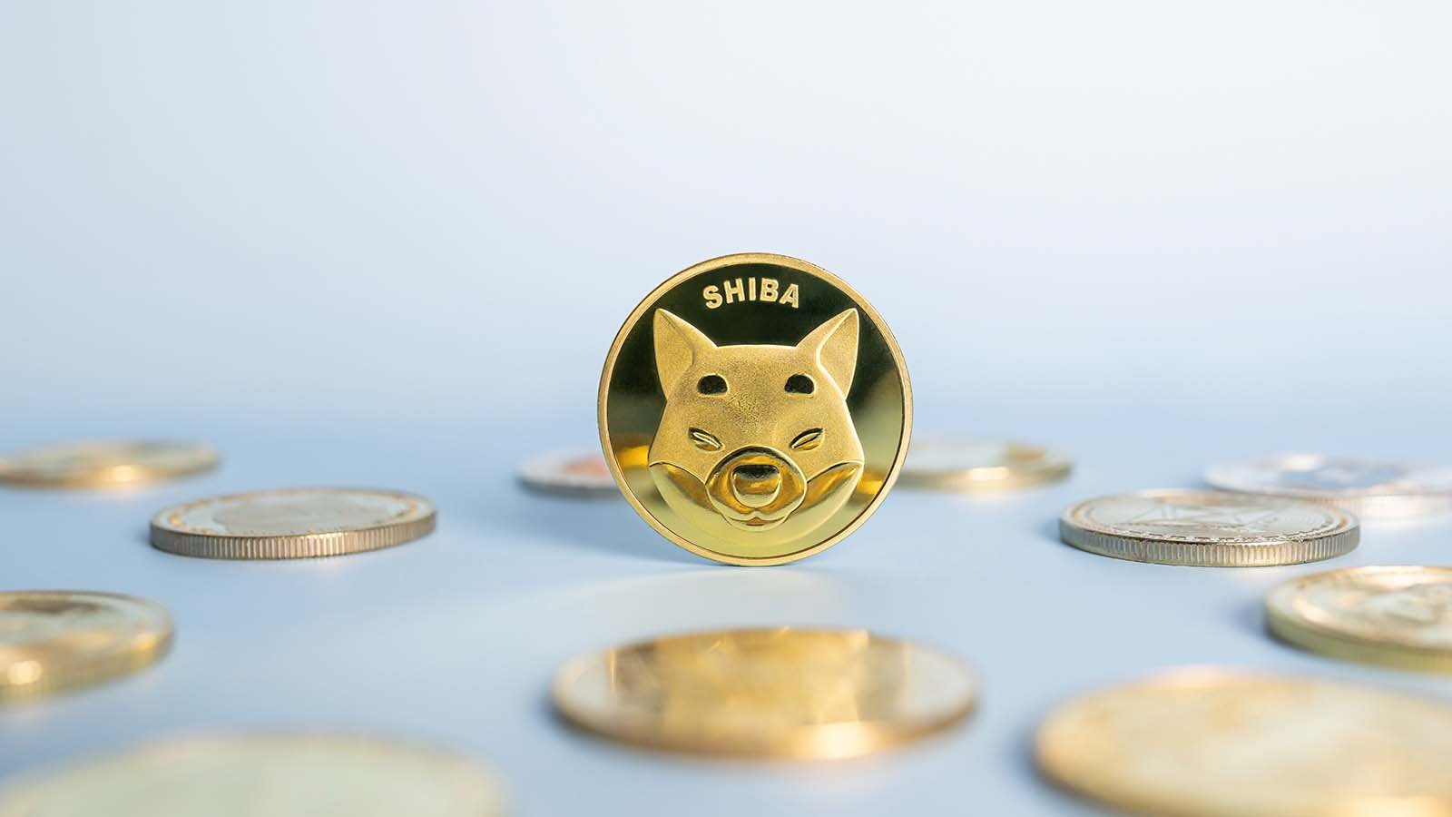 Shiba Inu Price Predictions: Where Will the SHIB Crypto Go Next?