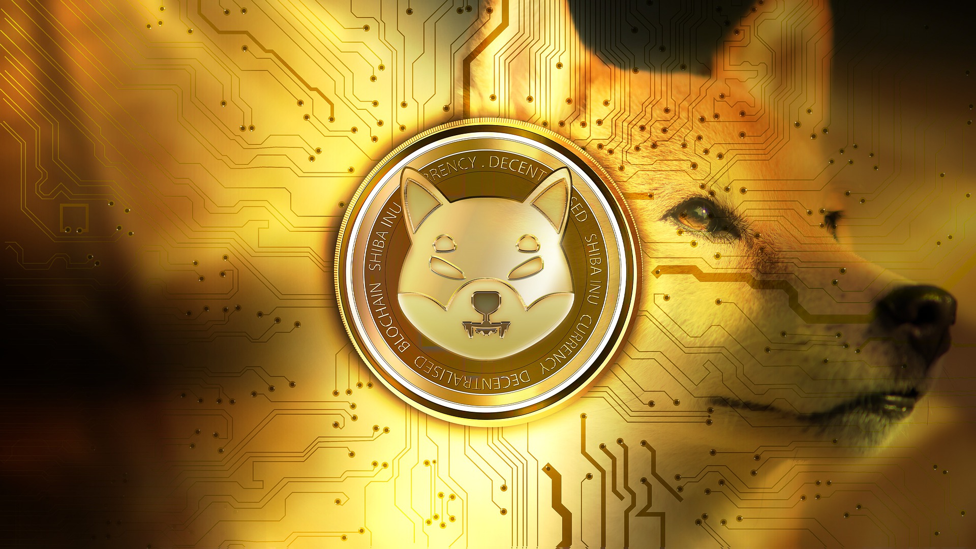 Shiba Inu: New listing of SHIB by Japanese crypto exchange, 4,600% burn rate increase, launch of Shibarium and the metaverse