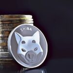 Shiba Inu Price Analysis & Prediction (Feb 13th) – SHIB Looks For a Retest After a Weekly Breakdown, Down 2%