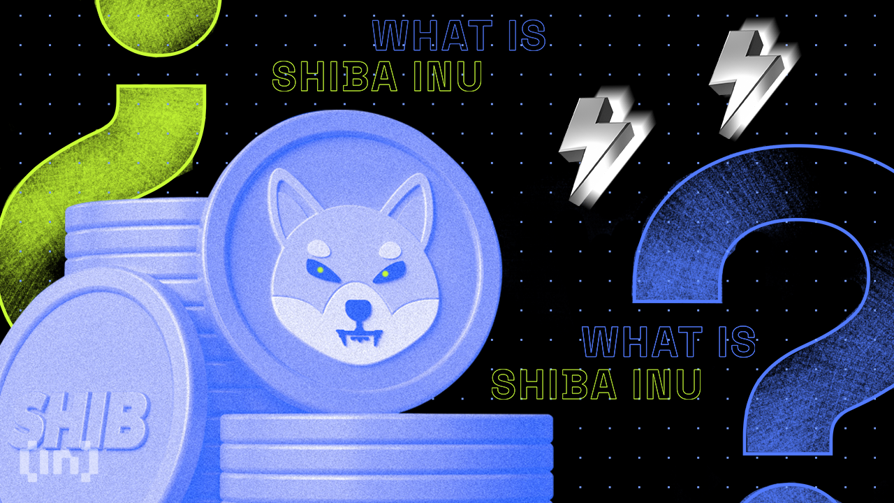 Shiba Inu (SHIB) Price Corrects After Massive Increase