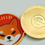 Shiba Inu’s recovery faced difficulty – Where can investors look for gains?