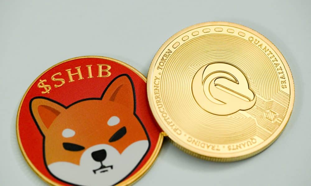 Shiba Inu’s recovery faced difficulty – Where can investors look for gains?