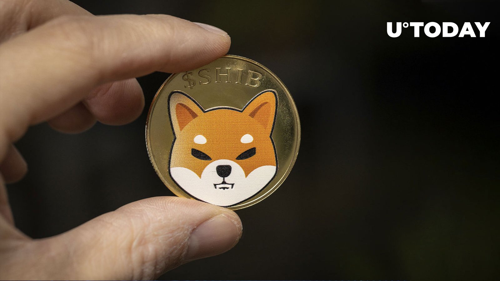 Shiba Inu (SHIB) Users Alerted on Unofficial ShibaSwap Account: Details