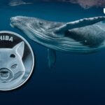 90 Billion Shiba Inu Grabbed by SHIB Whales as They Prepare for Shibarium Launch