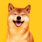 Plagiarism, Fork or Simple Mistake? Shiba Inu Community Debates the Origin Story of Shibarium