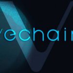 VeChain Reassures Focus on Sustainability Goals, Shiba Inu Devs Accused of Plagiarizing Code Explain the Oddity