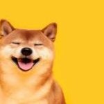 24 trillion SHIB are transferred by Shiba Inu Whale from crypto exchange to cold storage