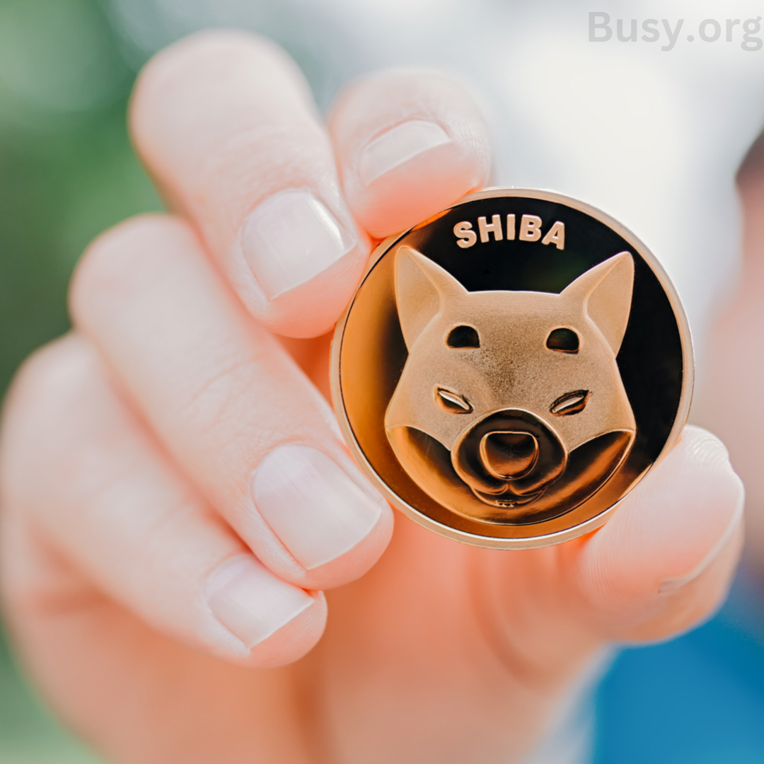 Shiba Inu price crash fears gain wind after 182B transfer