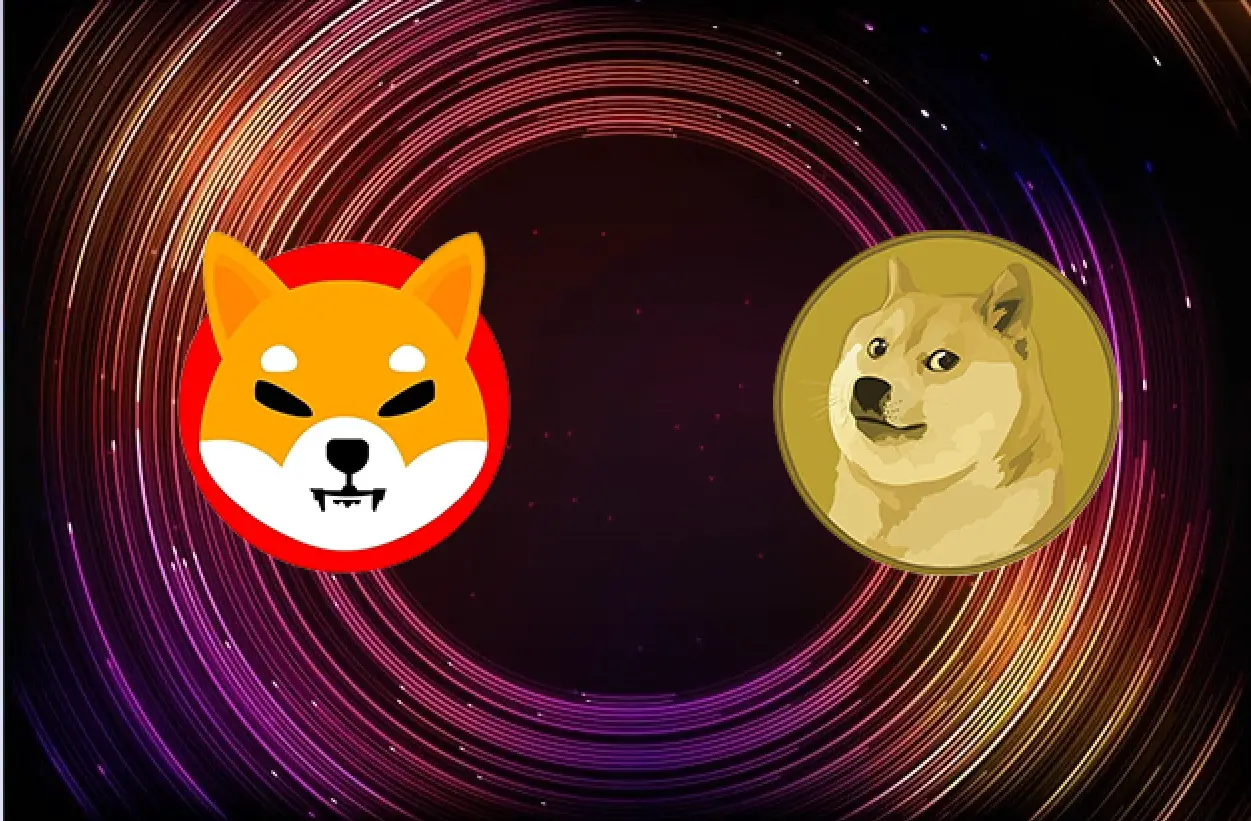 Dogecoin or Shiba Inu? Which Holders Are Currently In Profit?