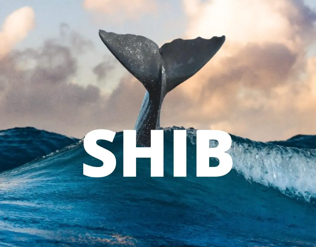 Mystery of Whales Dumping 10 Trillion on Shibarium Beta Launch Day