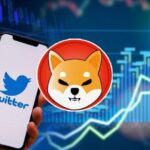 Shiba Inu Social Media Activity Reaches Three Month High