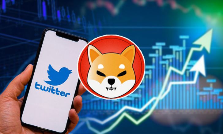 Shiba Inu Social Media Activity Reaches Three Month High