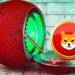 Lead Shiba Inu Developer Denounces Spread of FUD As Crypto Project Launches Shibarium in Beta Form