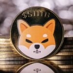 Shiba Inu Sees Major Shift In Large Transactions Processed Through Network