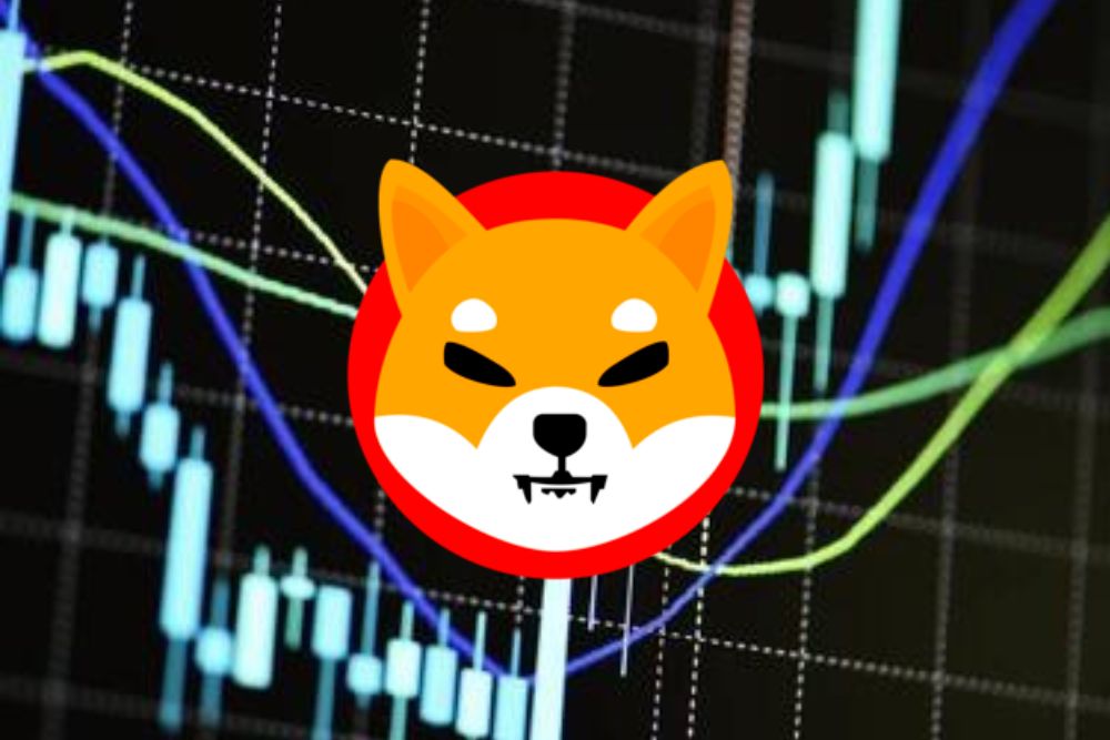 Analyst Shares Shiba Inu (SHIB) Bullish Outlook, Sets $0.00008488 Price Target – Times Tabloid