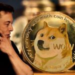 Middle Eastern Billionaire That Backed Dogecoin (DOGE) and Shiba Inu (SHIB) Is Now a HedgeUp Holder. What Does This Mean For HedgeUp (HDUP)?