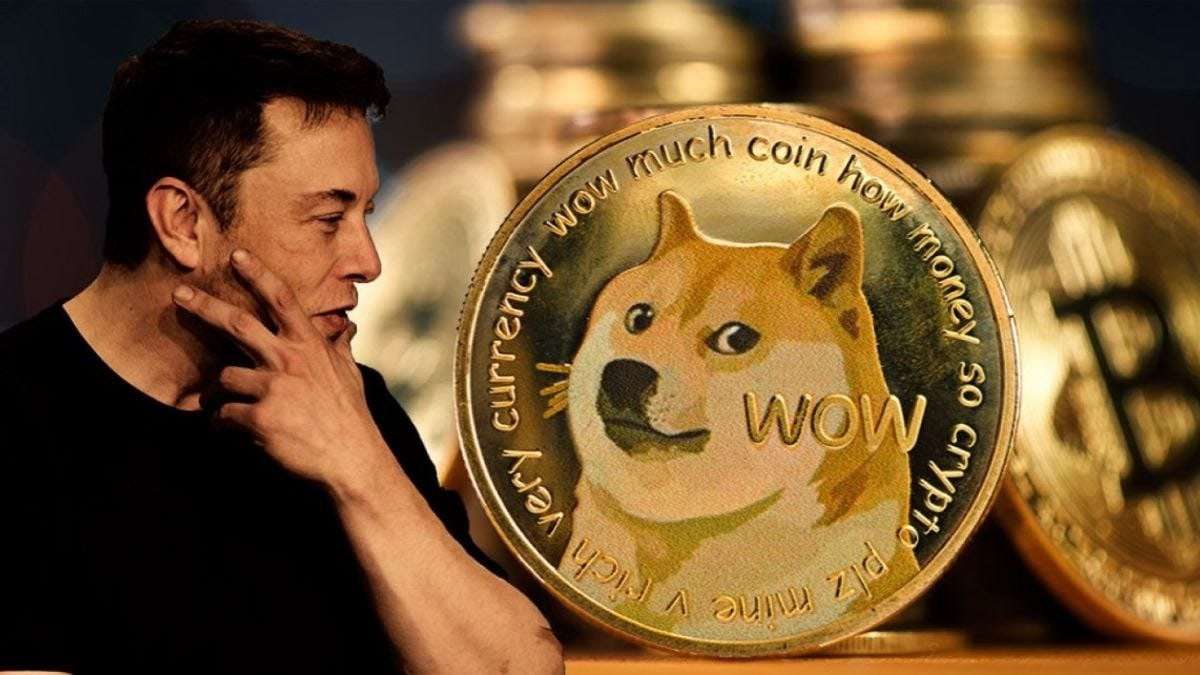 Middle Eastern Billionaire That Backed Dogecoin (DOGE) and Shiba Inu (SHIB) Is Now a HedgeUp Holder. What Does This Mean For HedgeUp (HDUP)?