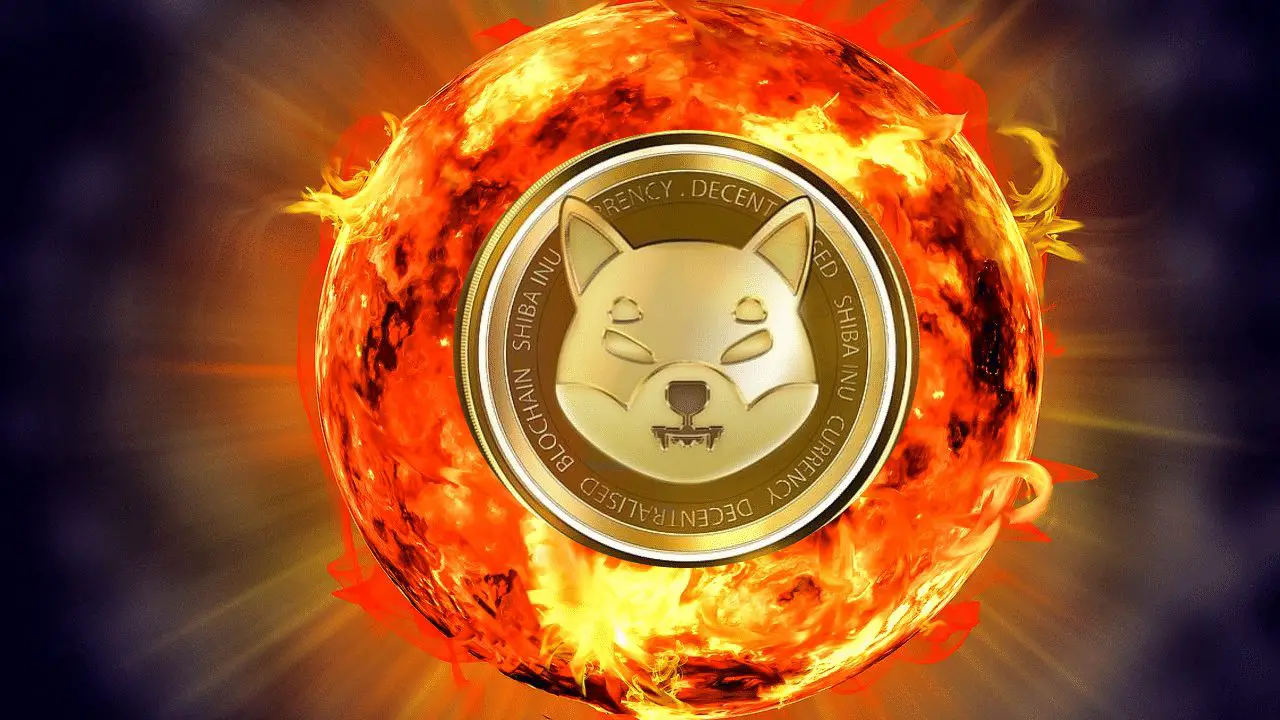 2 Million SHIB Tokens Burned Abruptly