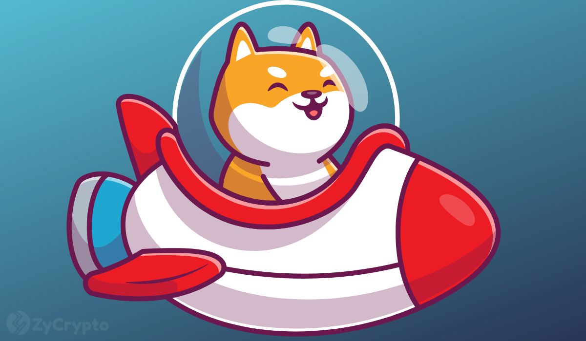 Shiba Inu And BONE Prices Are On Edge — Is Shibarium Launch Proving Weighty For SHIB? ⋆ ZyCrypto