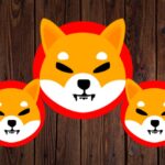 Shiba Inu (SHIB) Lead Developer Unveils Strong Vision Amid Shibarium Rollout