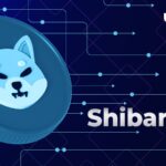 Shibarium Live but in Private Mode, Here’s Latest Update