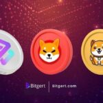 Exploring Market Momentum: Shiba Inu, Baby Doge, and Bitgert Cryptocurrencies