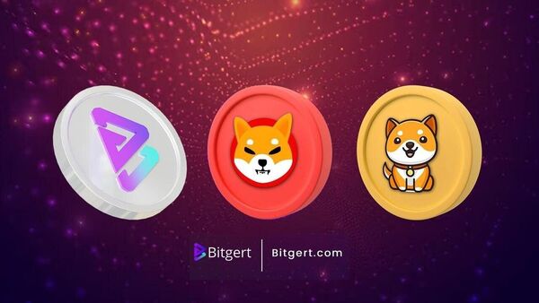 Exploring Market Momentum: Shiba Inu, Baby Doge, and Bitgert Cryptocurrencies