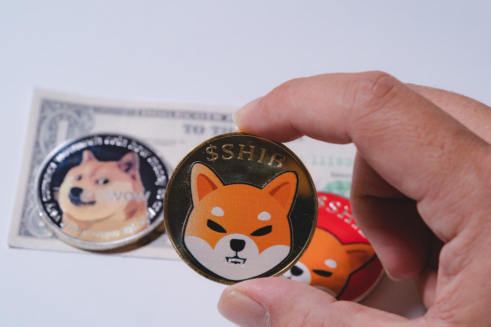 Shiba Inu Crashed -20%! Is it the END of Shiba Inu?