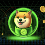 Shiba Inu’s (SHIB) Record Highs