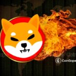 SHIB Price | Shiba Inu News: Shiba Inu Burn Rate Skyrockets 900%, Syncing With SHIB Price Rally