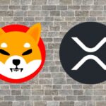 Which Will Win Between XRP and Shiba Inu (SHIB) in 2024? Google Bard Responds