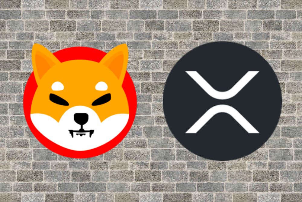 Which Will Win Between XRP and Shiba Inu (SHIB) in 2024? Google Bard Responds