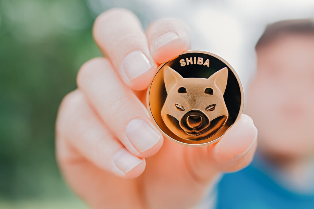 Shiba Inu Soars In Dubai: Local Exchange Puts Memecoin In The Spotlight