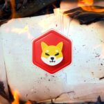 1600% Surge in Burn Rate – A Precursor to a Bullish Price Run?