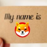 Claim Your SHIB Name Token