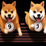 Can Shiba Inu flip Dogecoin in 2024?